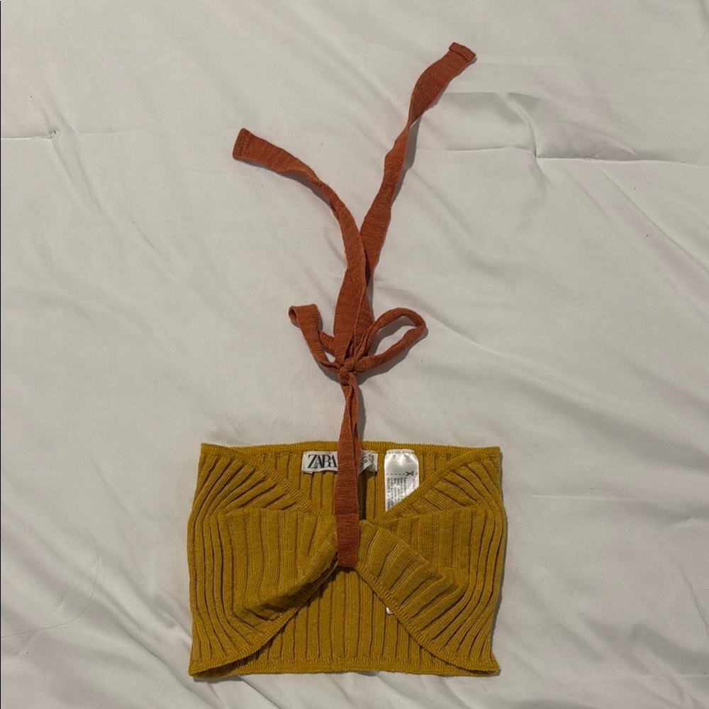 Zara Mustard and Rust Knit Tube Top